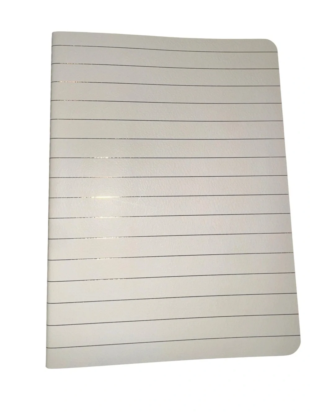 Passionate Penny Pincher Notebook